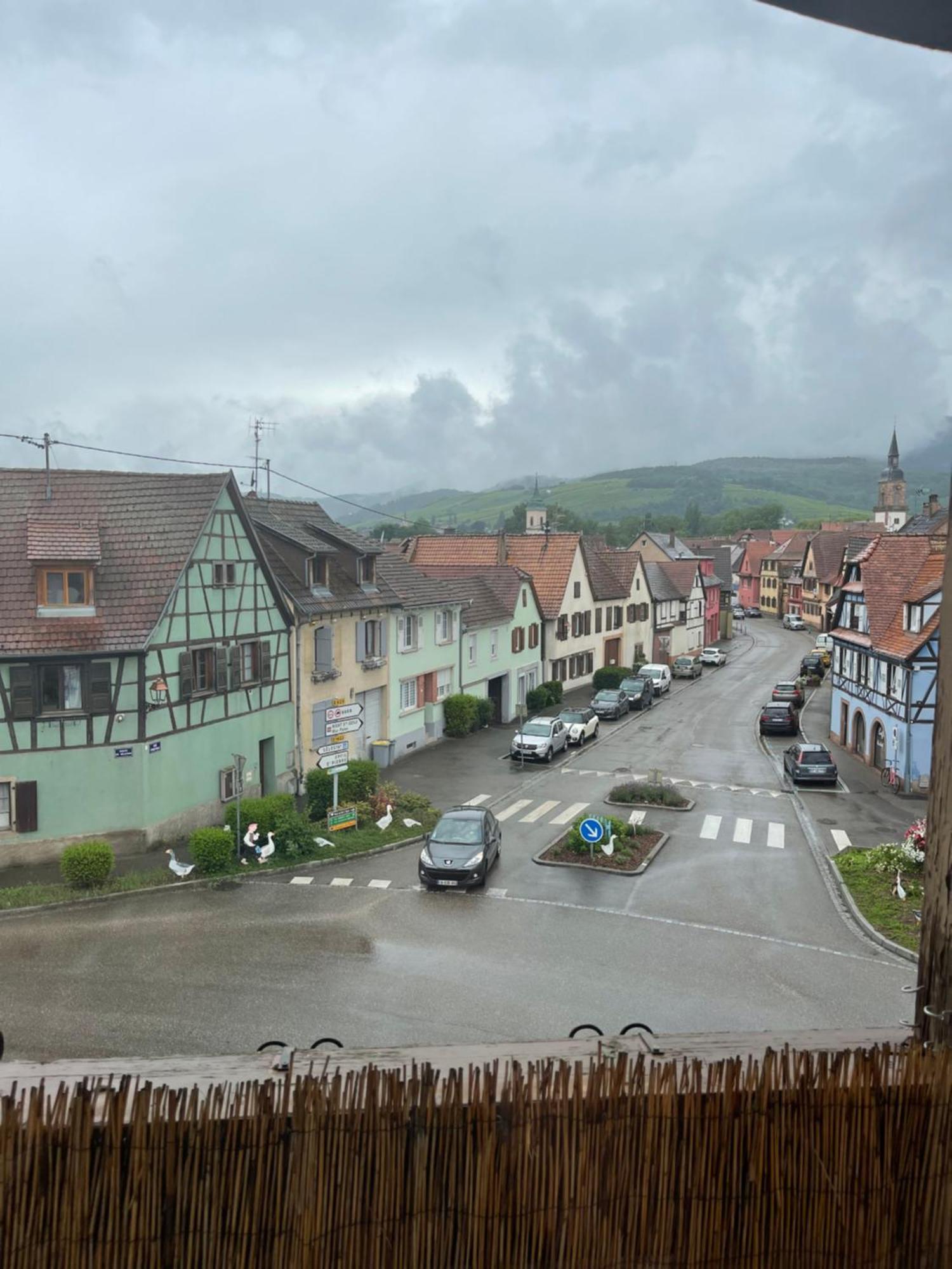 Appartement Centre Alsace Gertwiller Exterior photo
